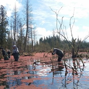 photo of amphibian egg mass monitors at Clear Creek Natural Area