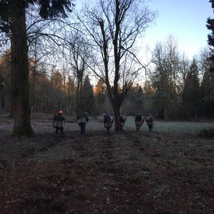 photo of planting at Johnson Creek