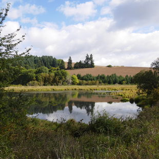 photo of Killin Wetlands