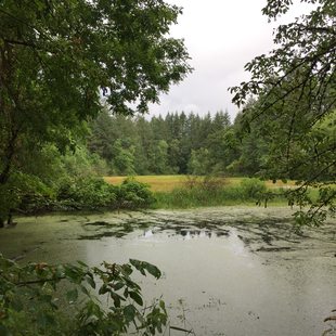 photo of kolk pond at new Tonquin acquisition