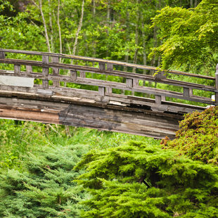 photo of Springwater Trail at Main City Park in Gresham