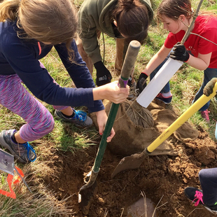 kids plant a tree