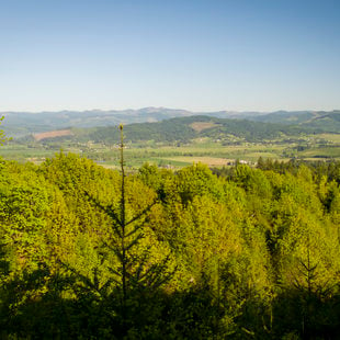 photo of Chehalem Ridge Natural Area