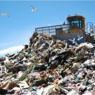 A landfill