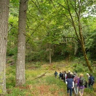 photo of tour at Chehalem Ridge led by Centro Cultural