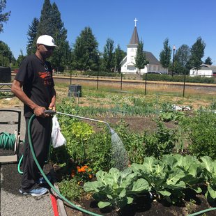 Sherwood garden