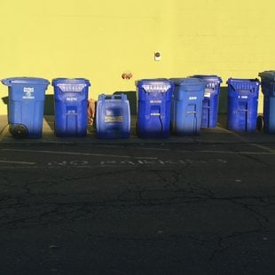 image of recycling bins at curb