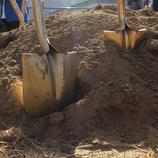 gold shovels in dirt during a groundbreaking ceremony