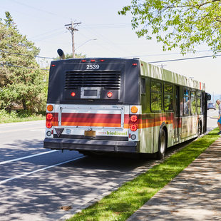 A bus stops for passengers while a bicyclist rides by