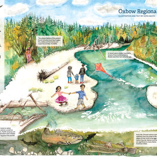 watercolor illustration of Oxbow Regional Park by Sofía Basto
