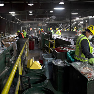 recycling facility workers sort items