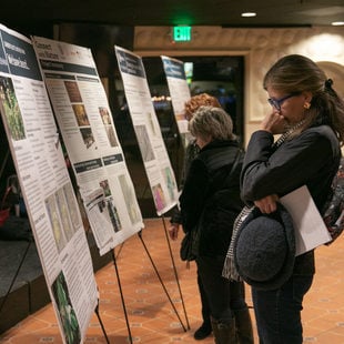 Woman reading display board at Gabbert Butte Nature Park open house in Gresham