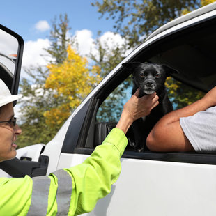 woman in a hard hat greets a truck driver and his dog 
