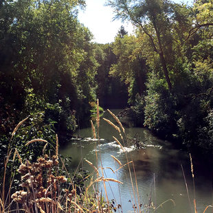 The Tualatin River runs through the Atfalati Prairie just south of Cornelius.