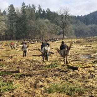 Crews in February installing native plants at Metro’s Richardson Creek Natural Area in the Clackamas River Basin
