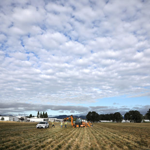 A wide open field with oak trees and an industrurail warehouse at the far end of it.