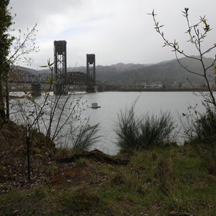 View of the Willamette River from the Willamette Cove site, surrounded by grass and plants, on a cloudy day