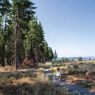 A young child wearing a blue dress runs along a trail with tall trees on one side and an open prairie on the other.