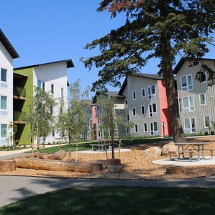 Exterior view of Las Flores affordable housing project in Oregon City, with picnic benches and a large old fir tree in front of the 3-story buildings making up the complex.