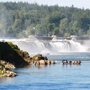 photo of Willamette Falls