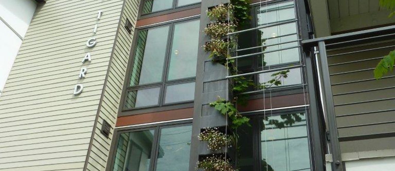 a photo looking up at a building facade with planters on each level