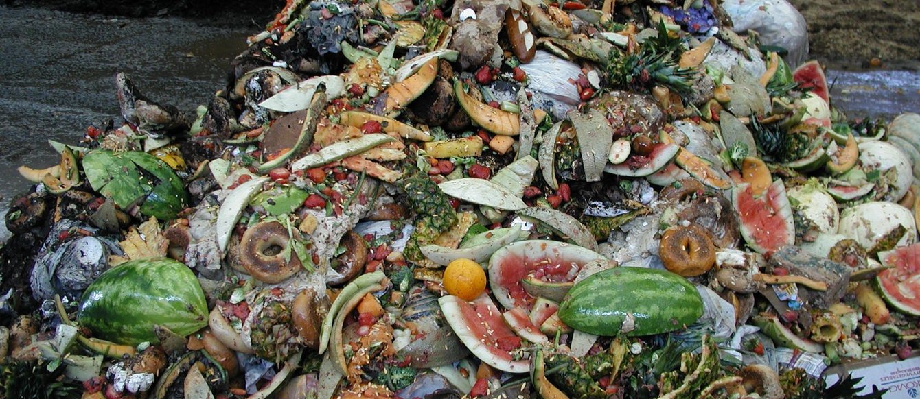 photo of a pile of food waste