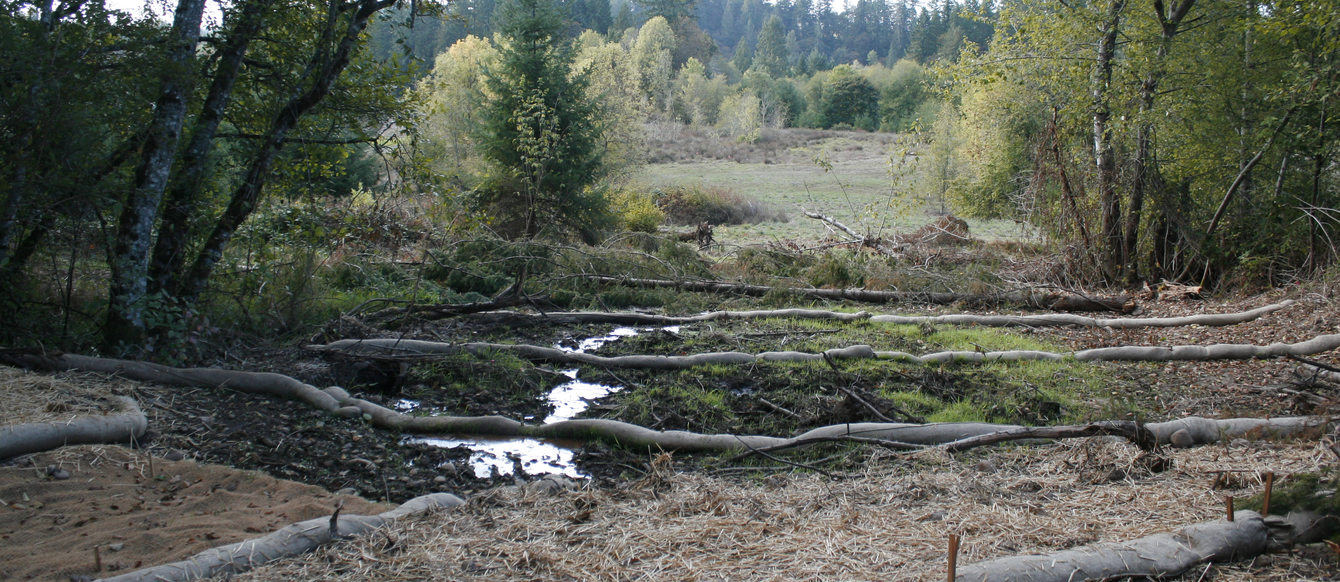 photo of swales used in Clear Creek's middle bench to spread water flow
