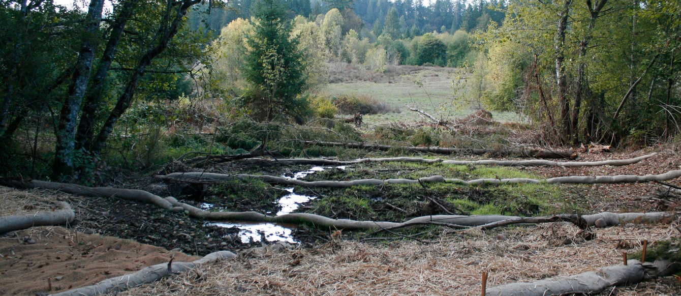 photo of swales used in Clear Creek's middle bench to spread water flow