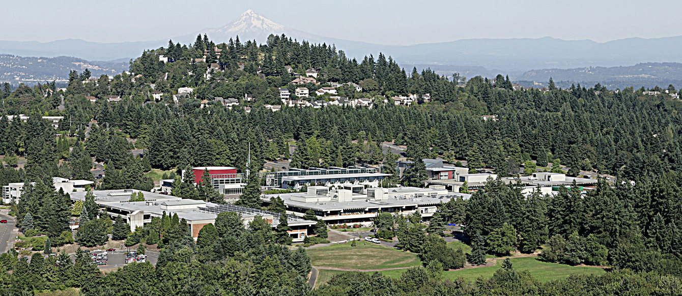 Aerial shot of PCC Sylvania