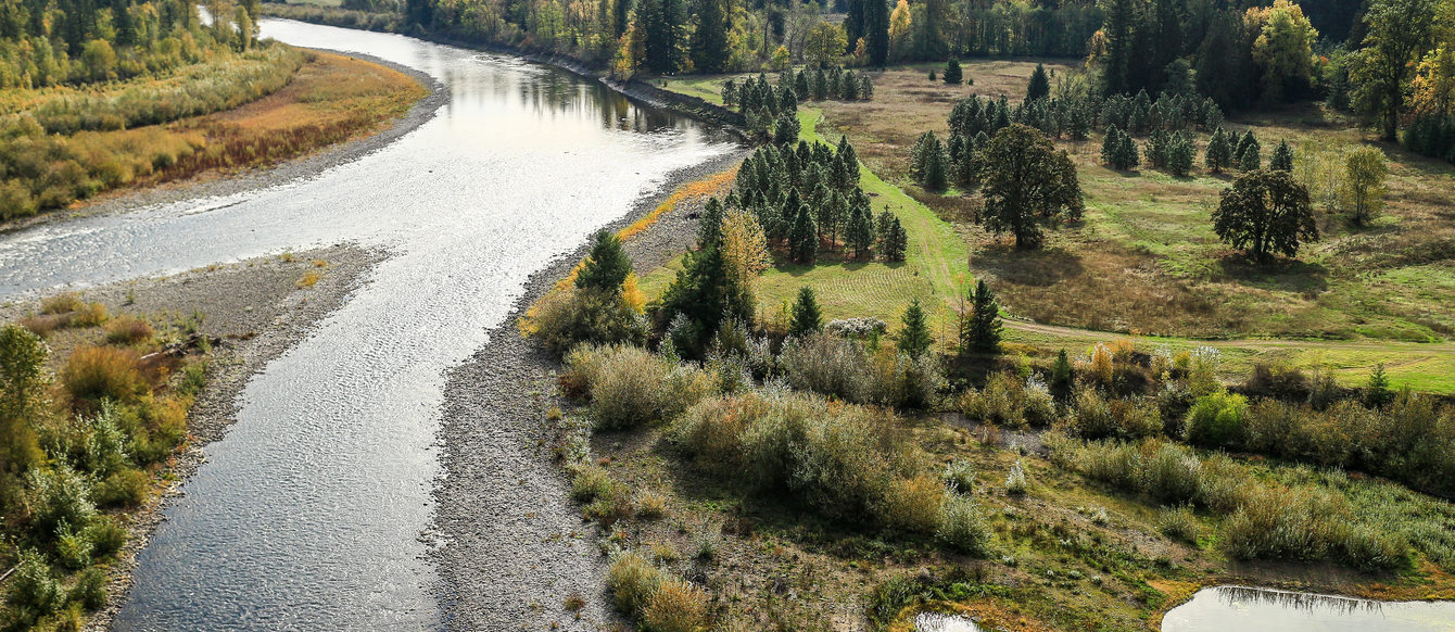 aerial photo of River Island