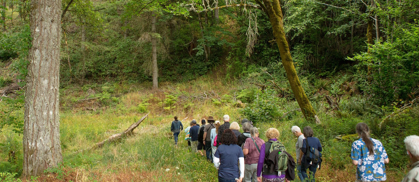 A tour at Chehalem Ridge