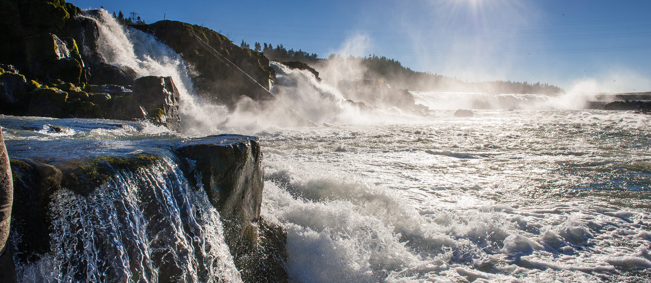 photo of Willamette Falls