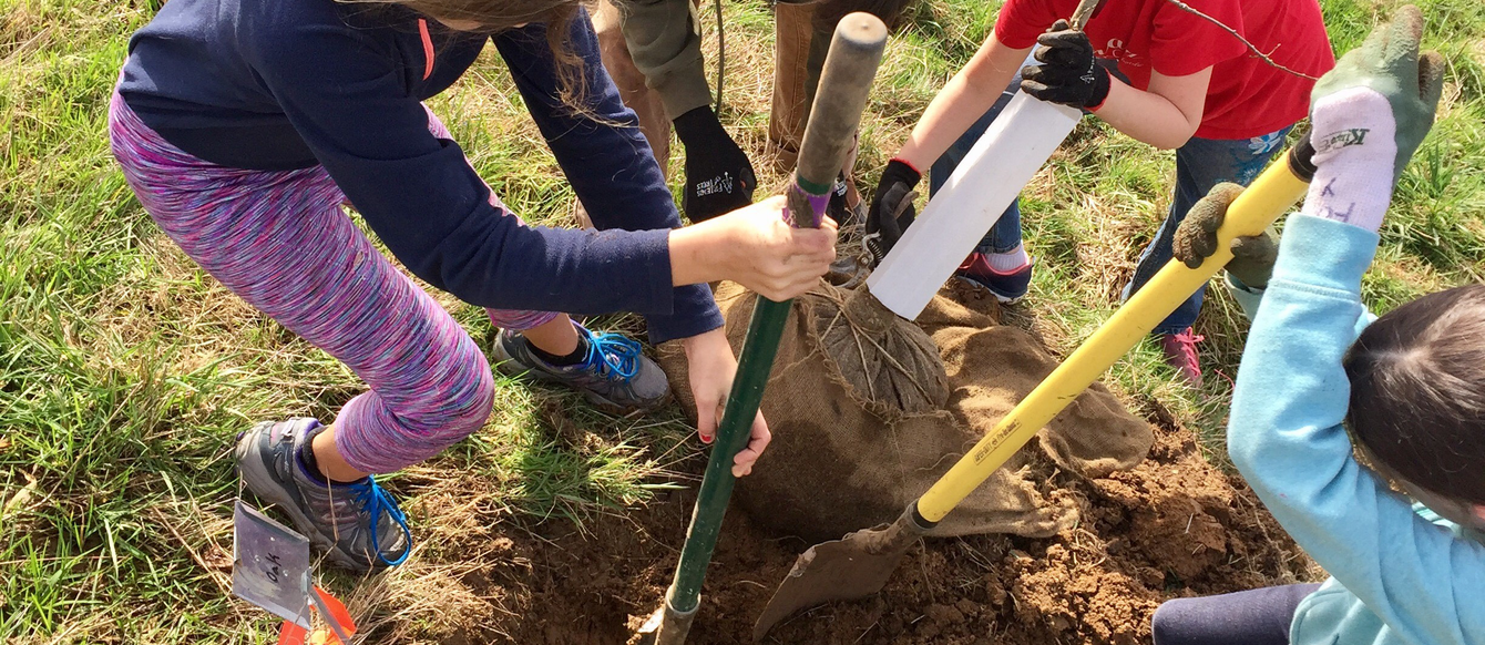 kids plant a tree