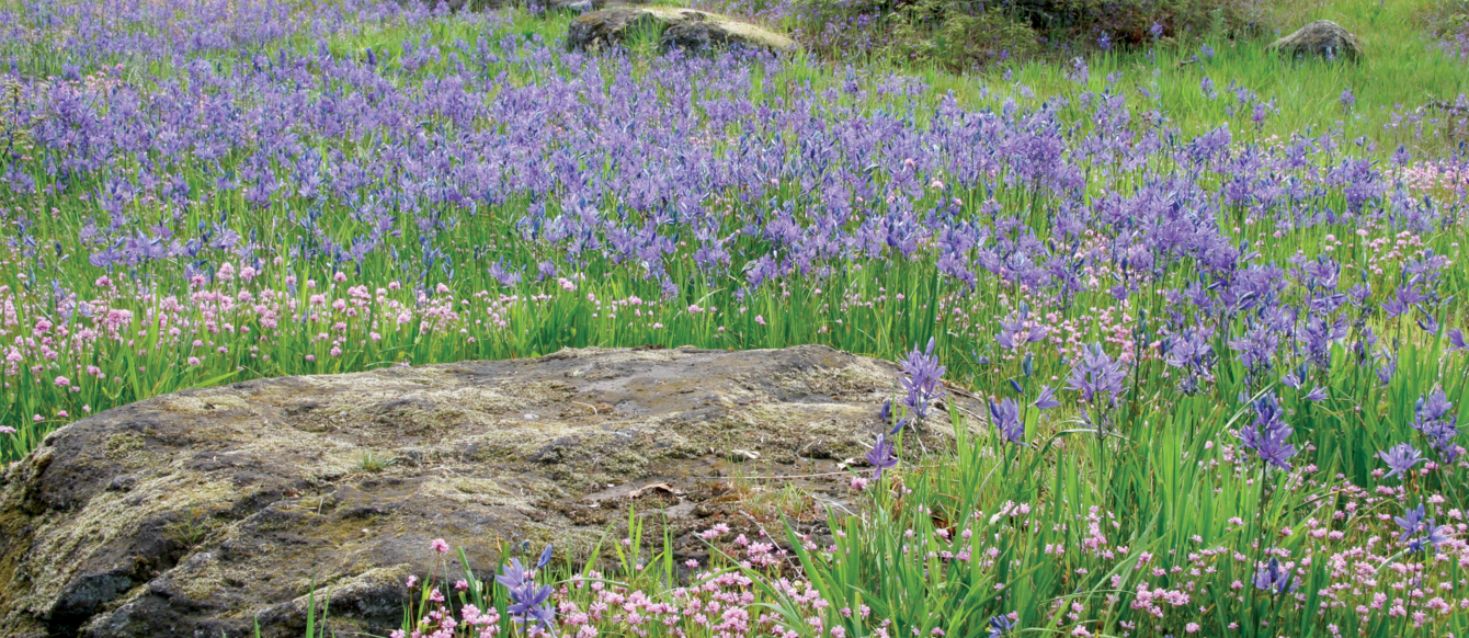 photo of Canemah Bluff Nature Park