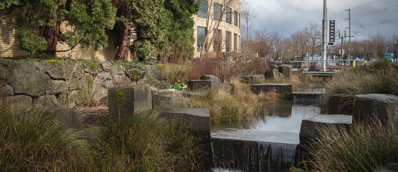 A rain garden at the Oregon Convention Center collects runoff. Oregon Convention Center rain garden