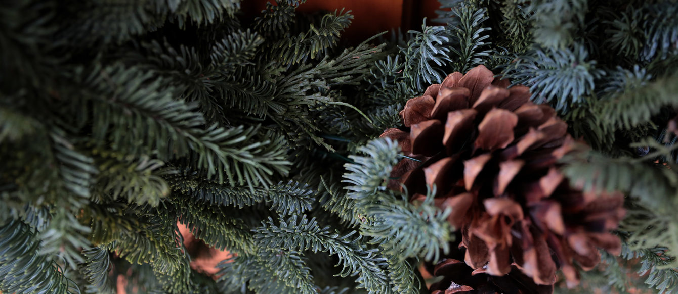 close up of an evergreen wreath