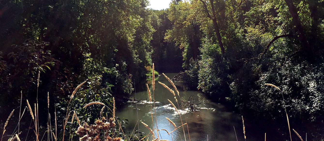 The Tualatin River runs through the Atfalati Prairie just south of Cornelius.