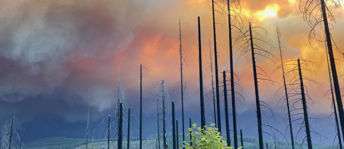 A photo of smoke in the air after the Riverside fire