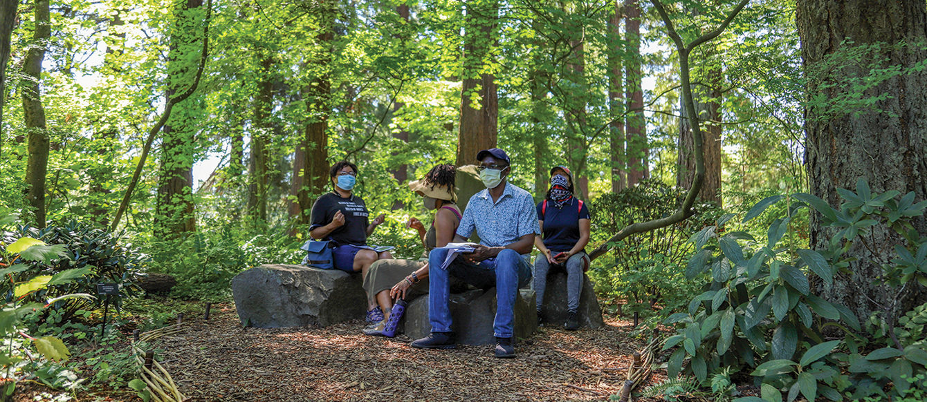 Four people of color sit on boulders in a sun-dappled clearing in a forest.