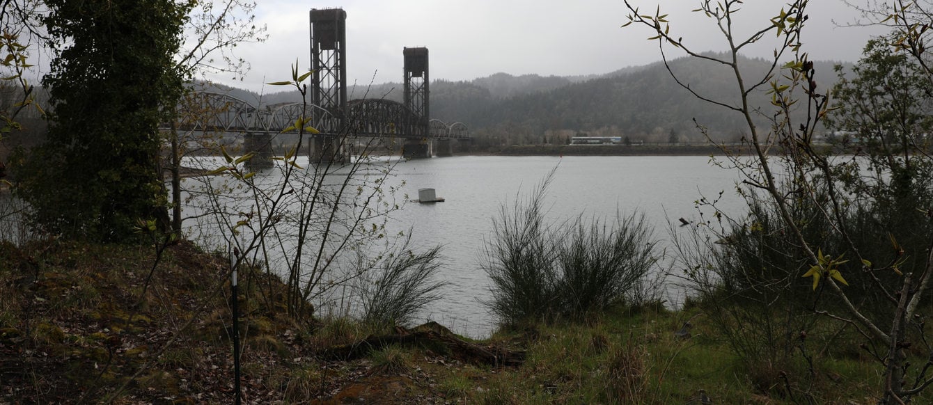 View of the Willamette River from the Willamette Cove site, surrounded by grass and plants, on a cloudy day