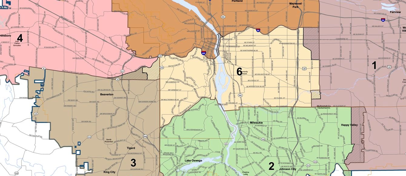 A cropped map of 2021 Metro Council districts