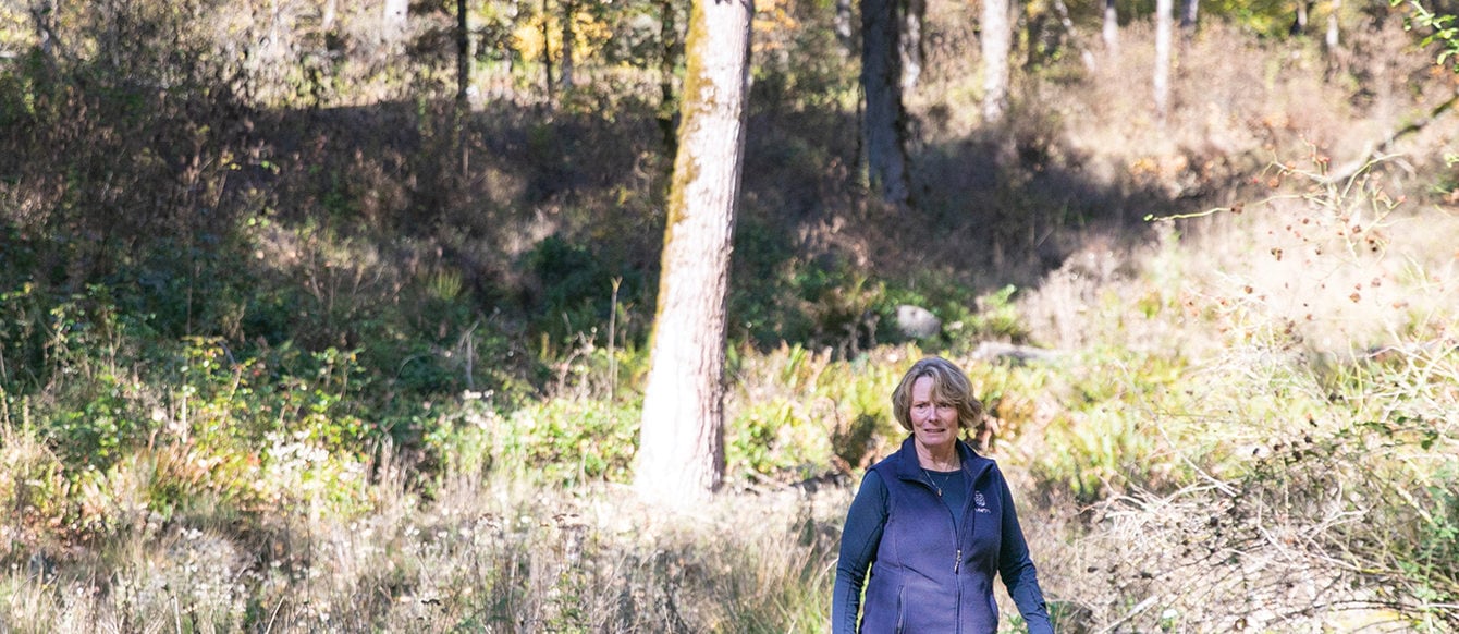 On a dry hillside with grasses and trees, a woman wearing blue walks while looking at the landscape.