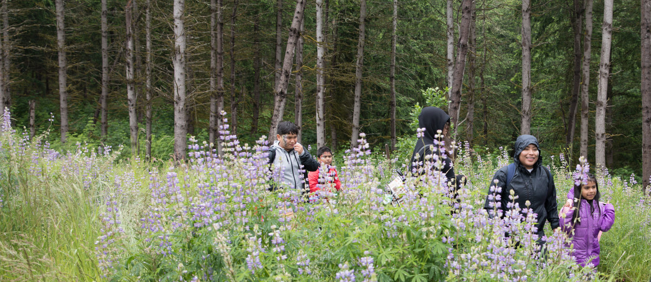 a woman and children in rain jackets emerge from a forest onto a path lined with lupine