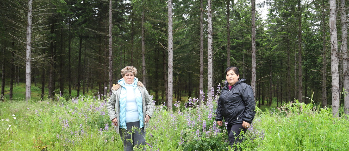 Two women wearing raingear stand in a field of lupine before a forest