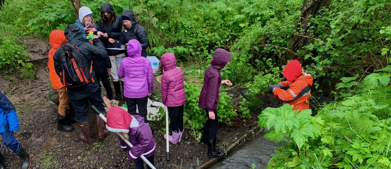 A class of children in rain gear stand in and around a small creek. Greenery is all around them.