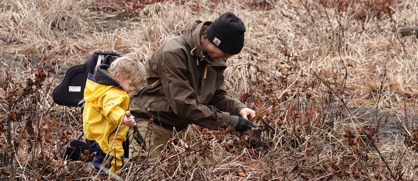 a toddler and father plant sedges at the edge of Bybee Lake