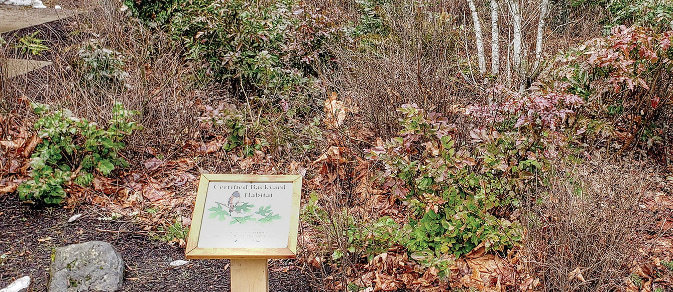 A sign for the Backyard Habitat program sits in a garden of native plants at Scouters Mountain Nature Park.