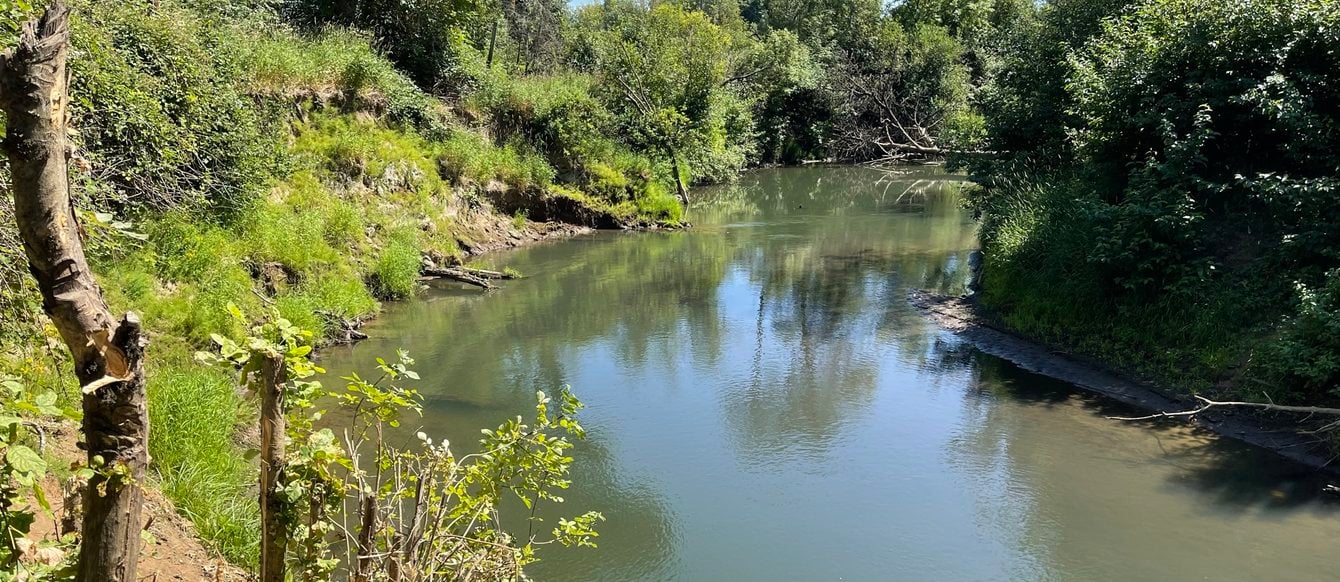 Tualatin river running through a tree-dotted landscape of scrub brush and other vegetation.