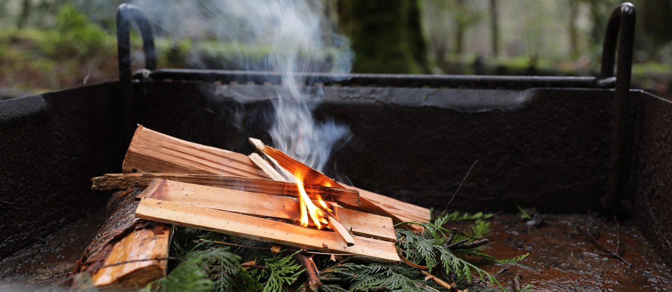 a campfire smolders in a metal campfire grate surrounded by forest