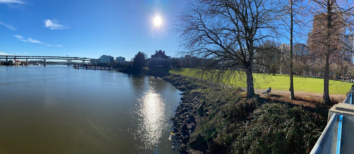 A wideshot of a river with a person on the riverbank sitting under a tree.